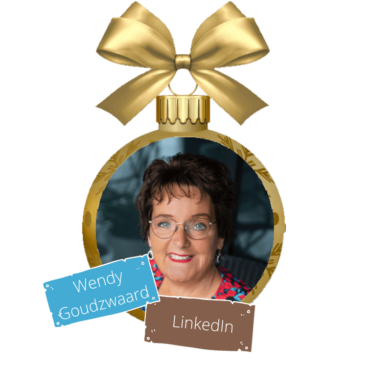 skillzonline-kerstactie-wendygoudzwaard-finall